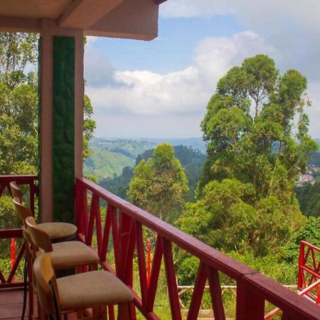 Hotel Natura Cocora 살렌토 외부 사진