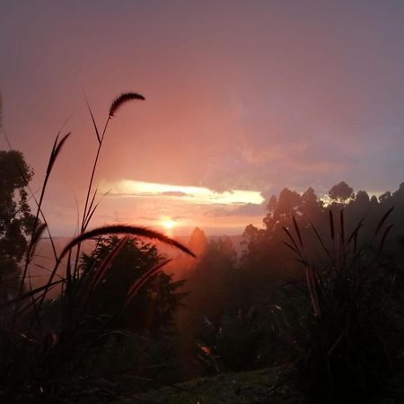 Hotel Natura Cocora 살렌토 외부 사진