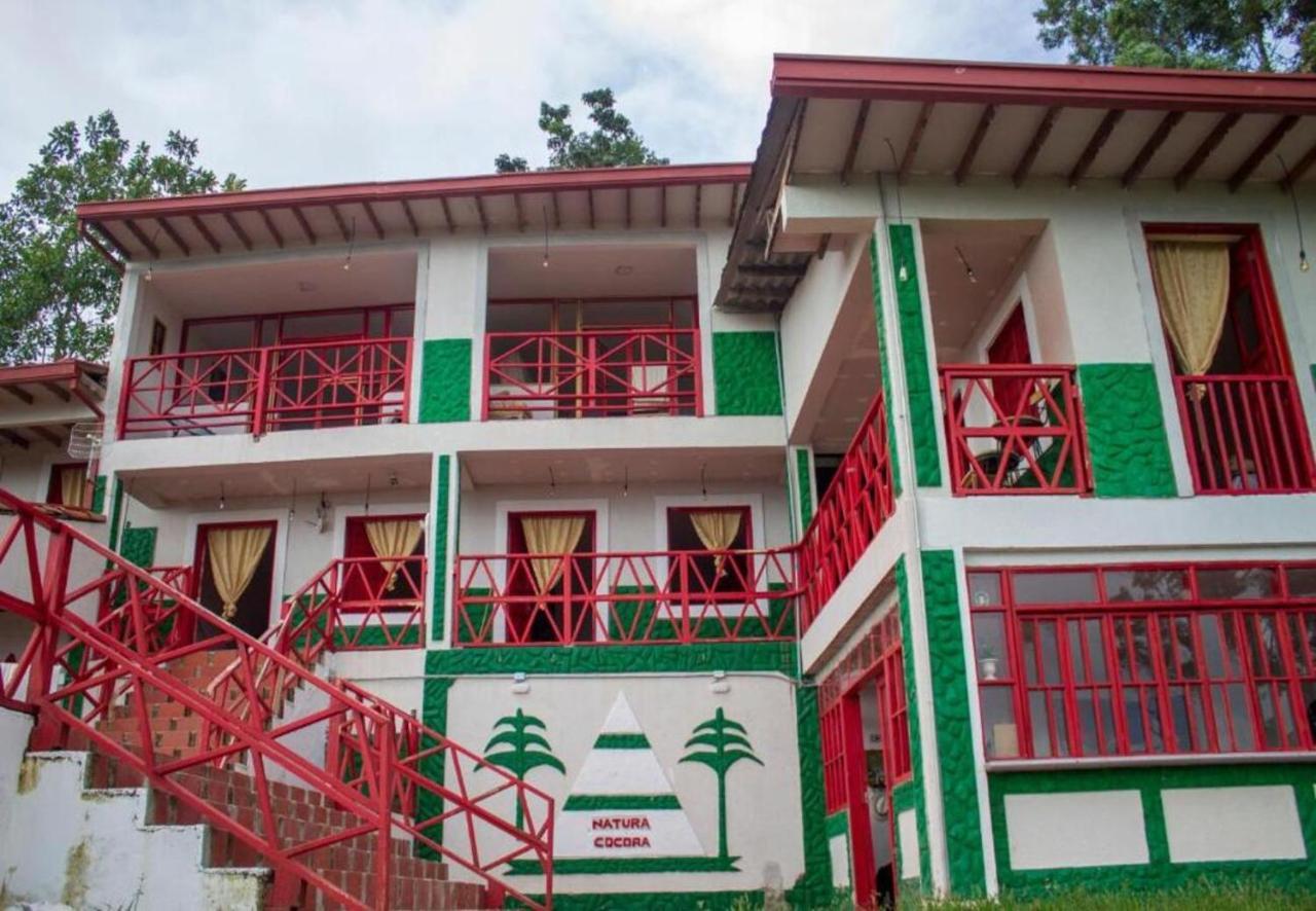 Hotel Natura Cocora 살렌토 외부 사진