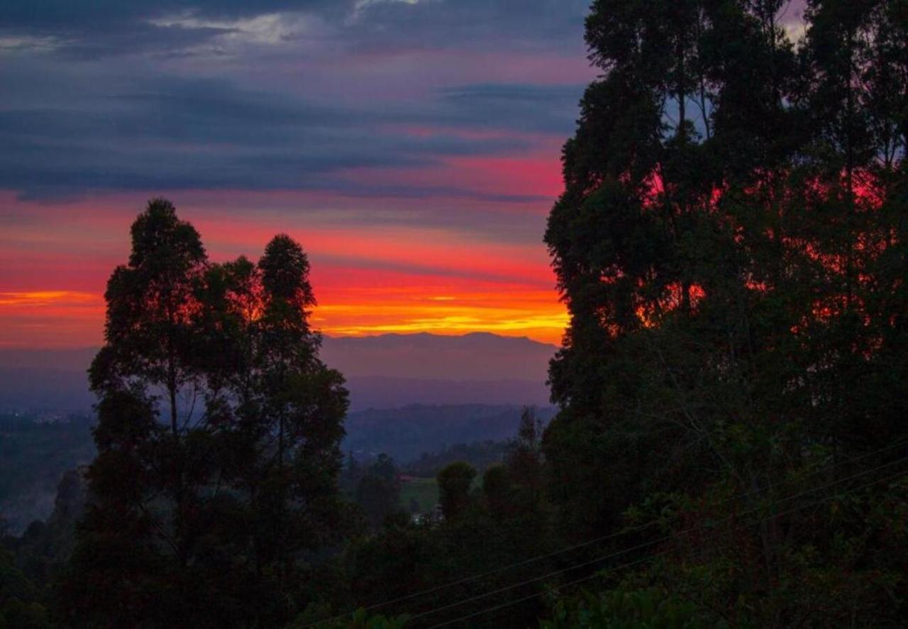 Hotel Natura Cocora 살렌토 외부 사진