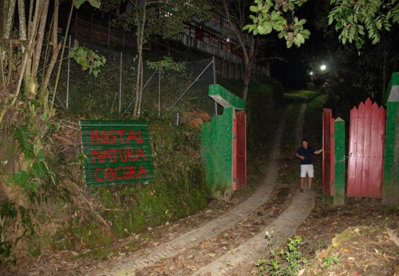 Hotel Natura Cocora 살렌토 외부 사진