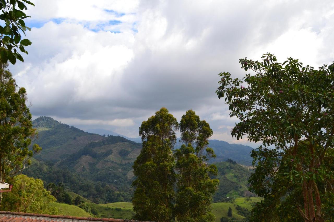 Hotel Natura Cocora 살렌토 외부 사진