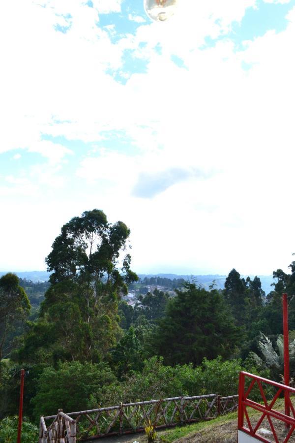 Hotel Natura Cocora 살렌토 외부 사진